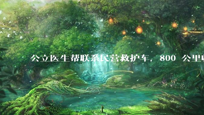 公立医生帮联系民营救护车，800 公里收费 2.8 万元，收费合理吗？救护车收费标准是什么？